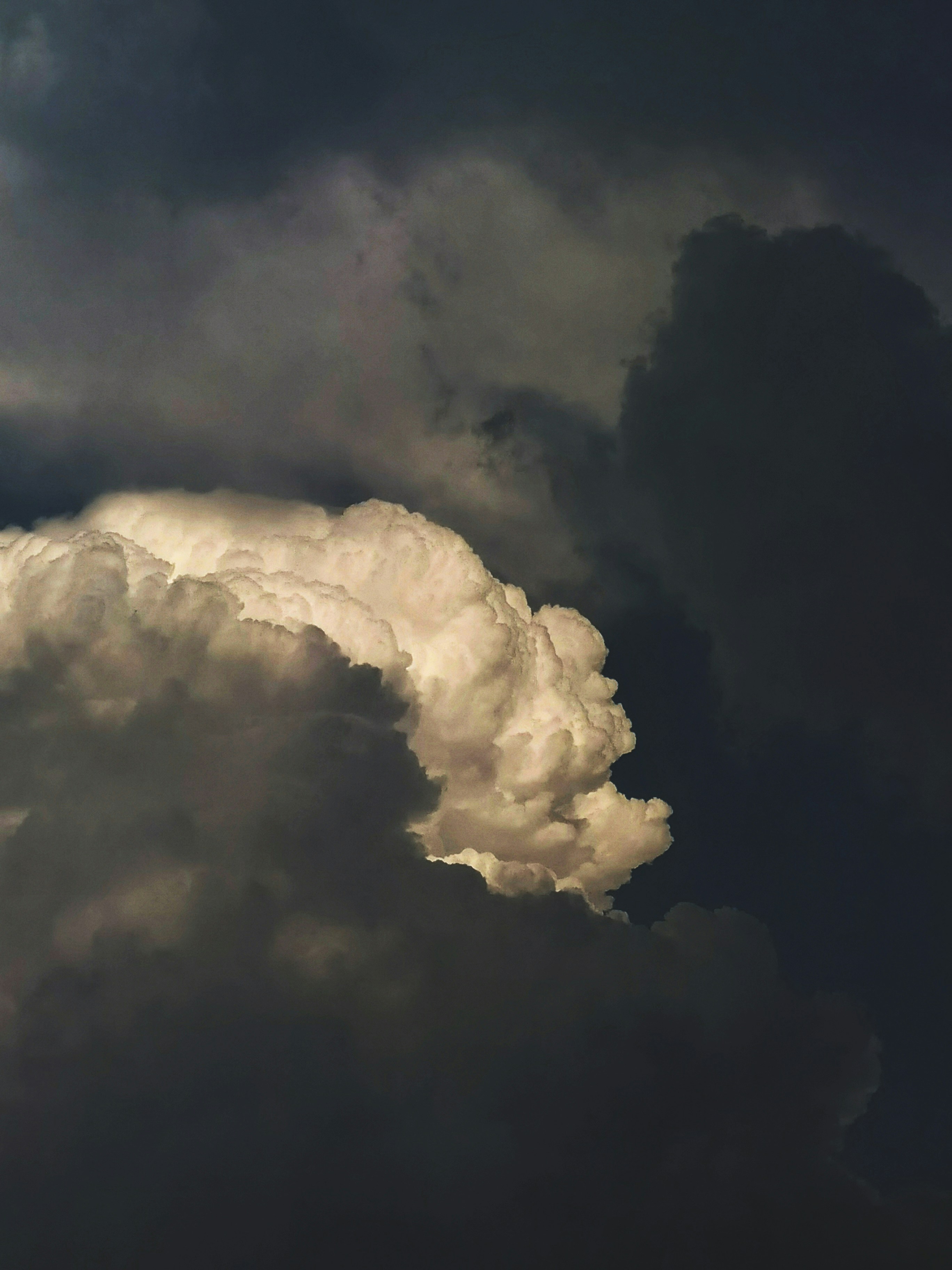 Photo by silverarrow