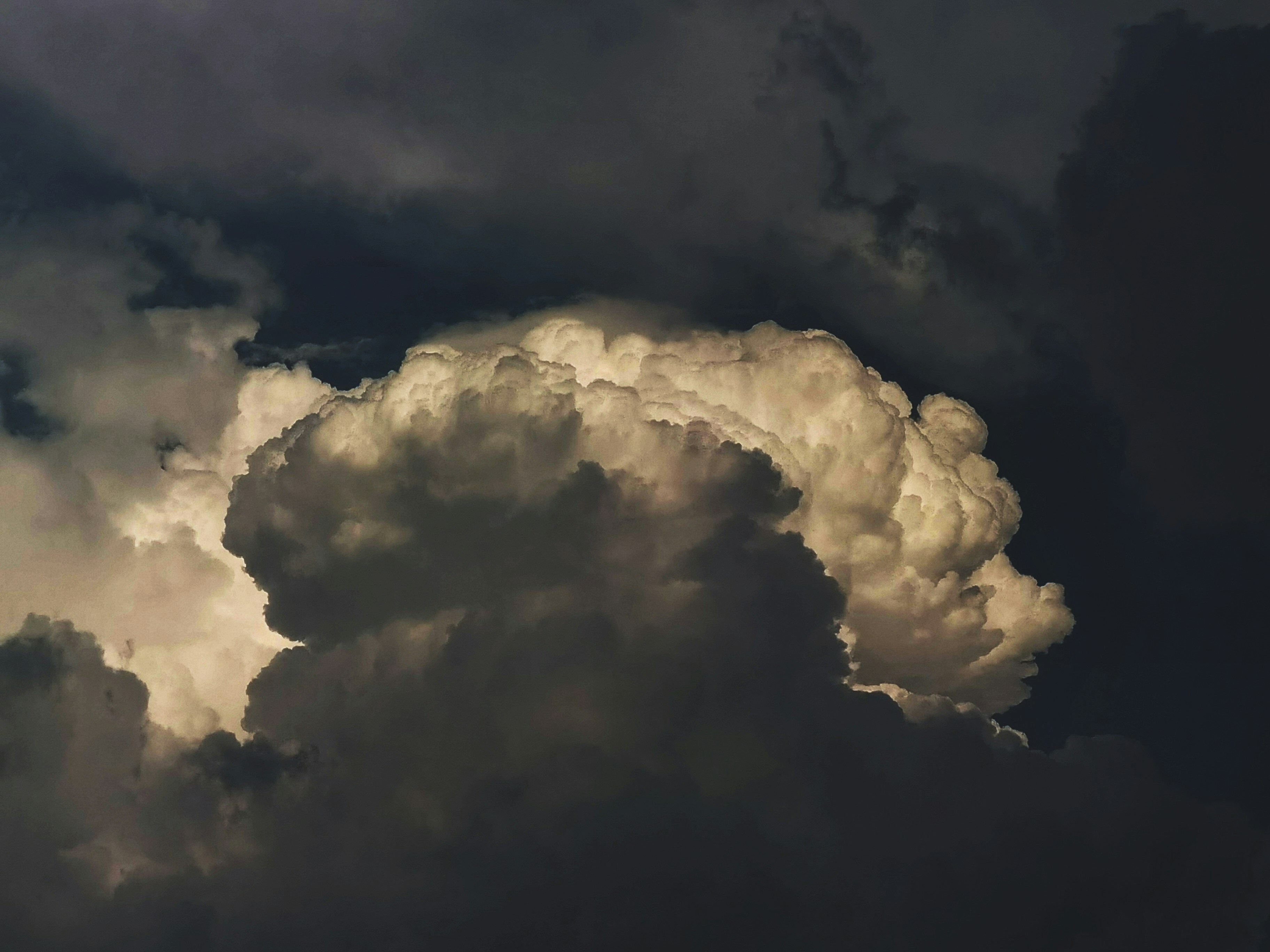 Photo by silverarrow