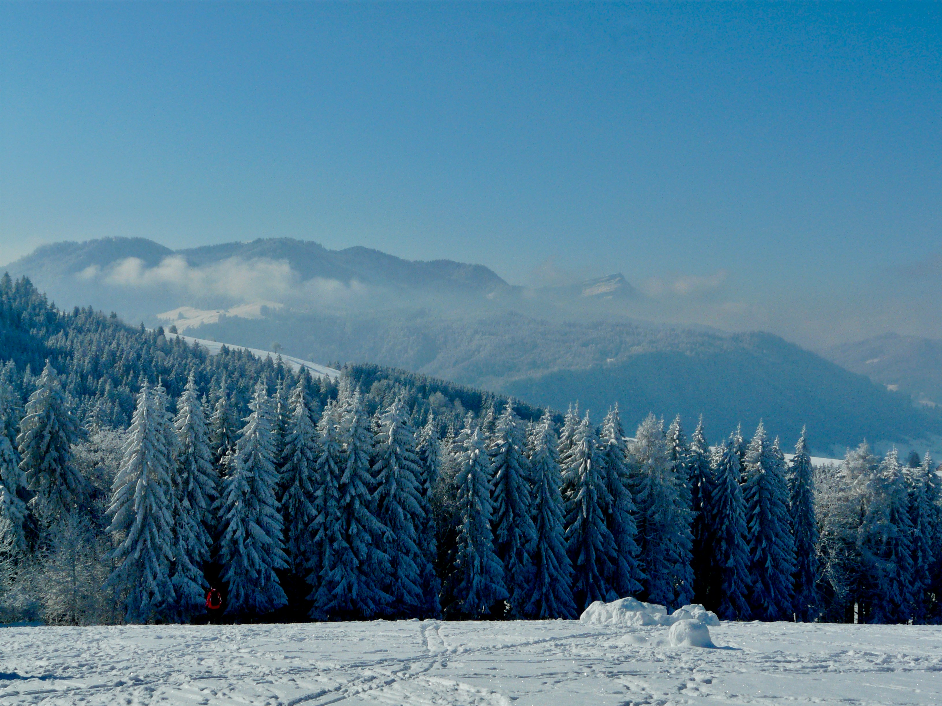 Photo by peterburdon