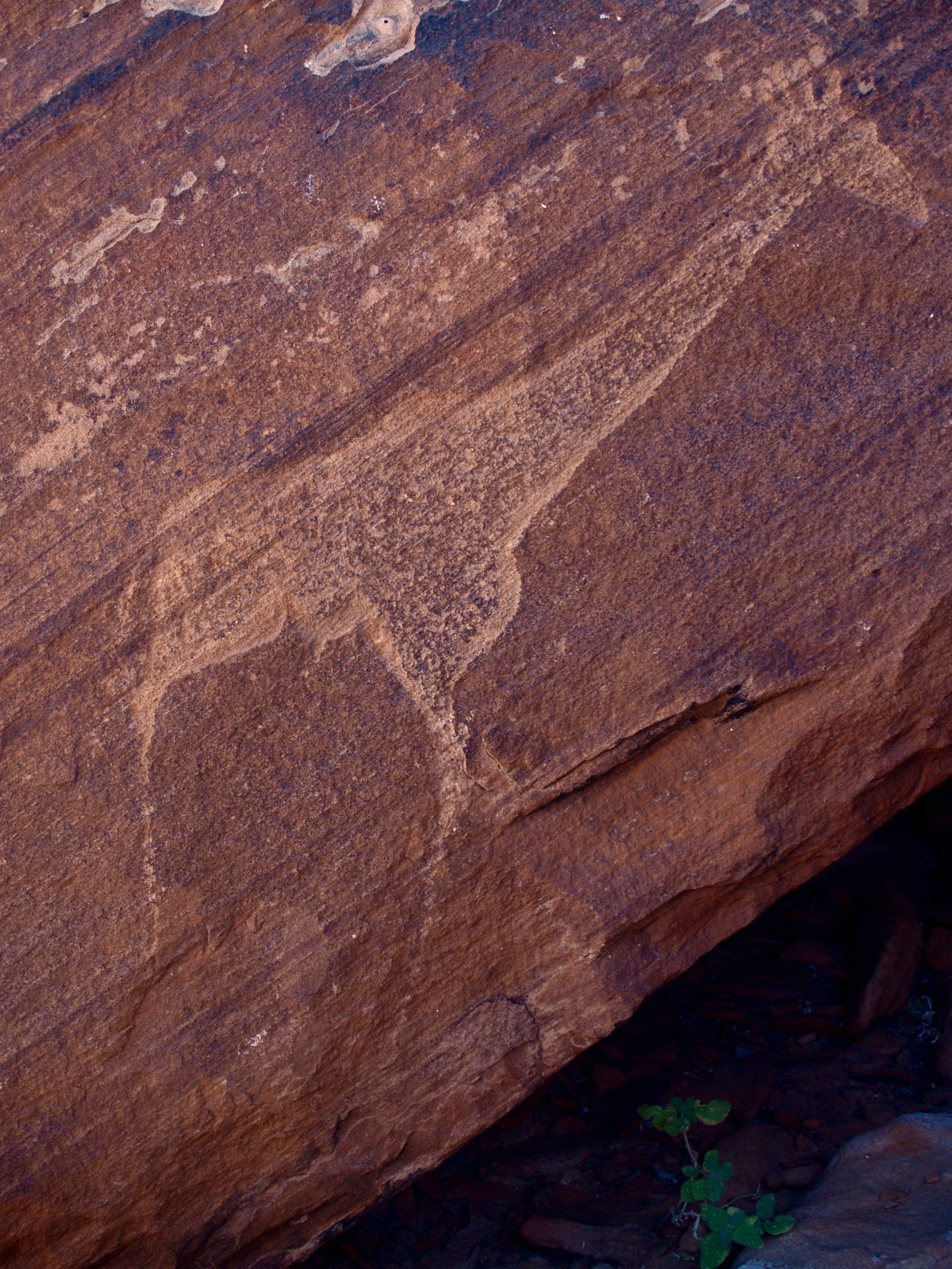 Photo by peterburdon