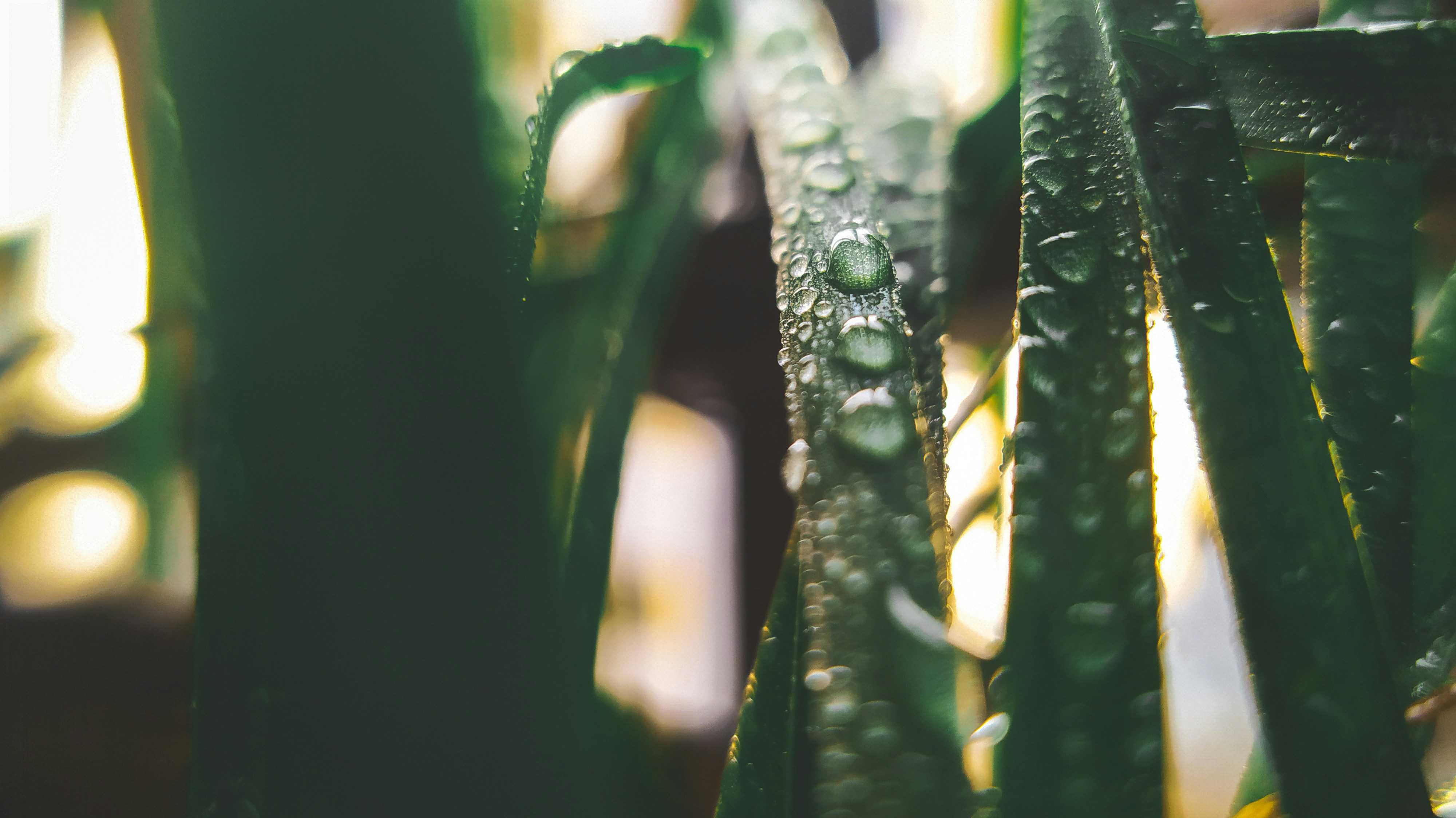 Photo by suzan_987721491