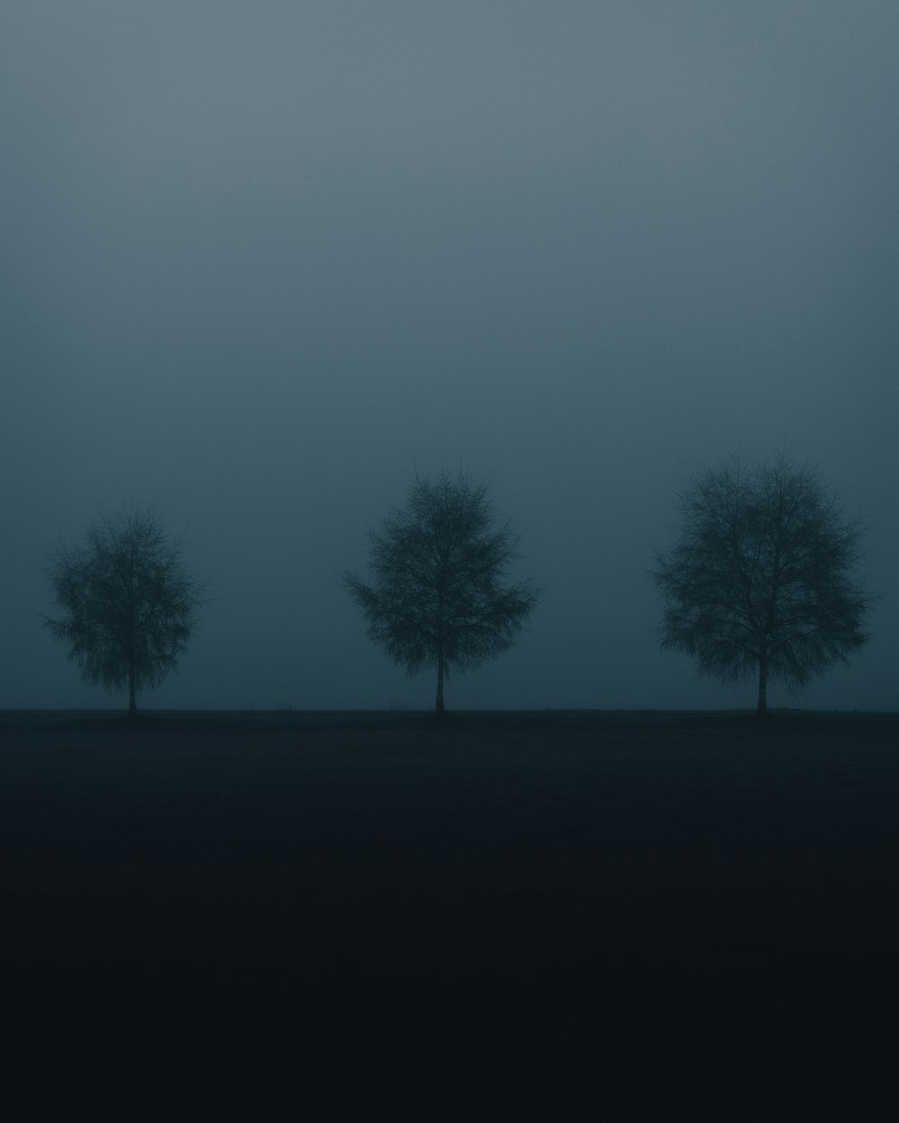 silhouette of trees during night time