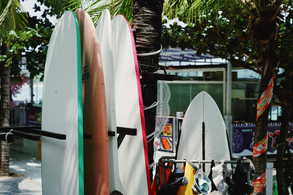 a couple of surfboards that are next to a tree