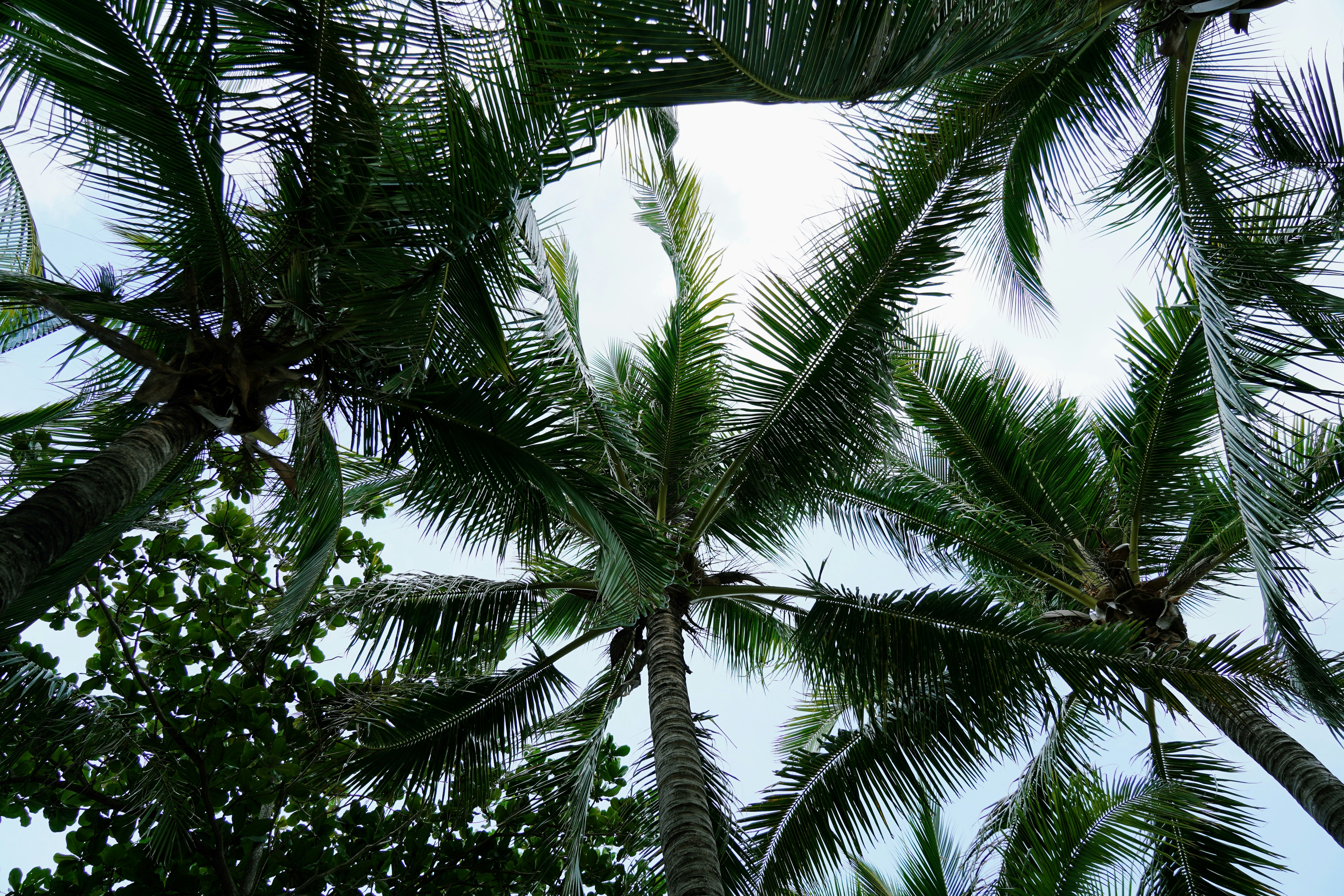 Photo by jessechan42