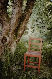 brown wooden chair beside tree