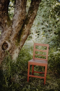 brown wooden chair beside tree