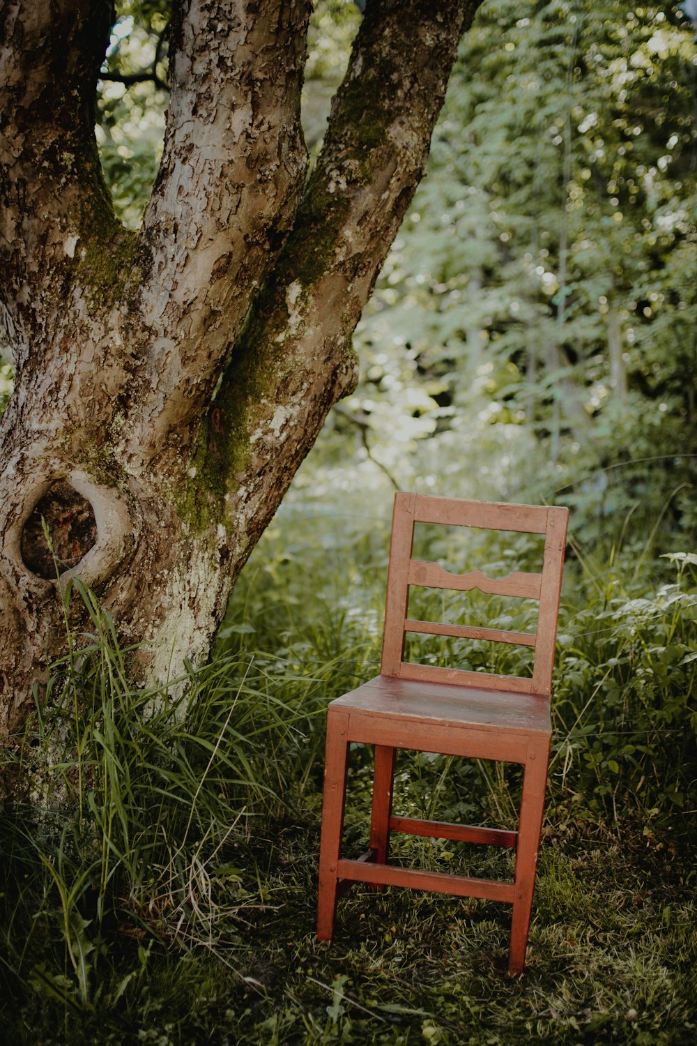 brown wooden chair beside tree