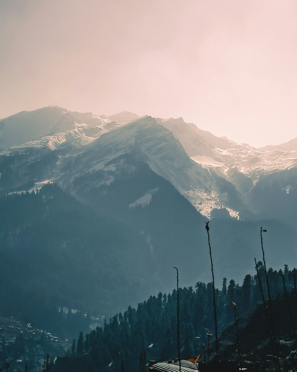 green trees on mountain during daytime