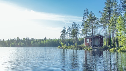 A tranquil lakeside scene features a small red cabin nestled among tall pine trees on the right. The calm water reflects the surrounding forest and clear blue sky, creating a serene atmosphere.