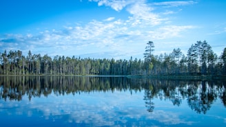 A tranquil lake reflecting towering pine trees and a bright morning sky.