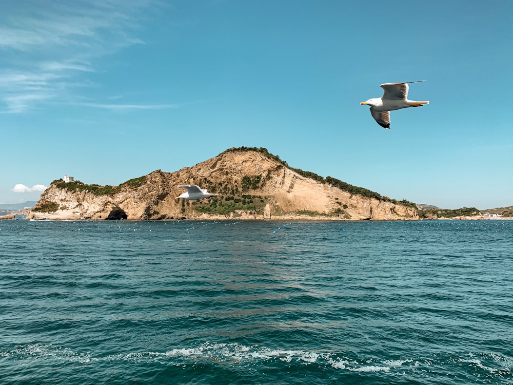 blue sea near green and brown mountain under blue sky during daytime