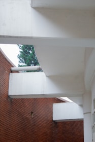 brown brick wall near green trees during daytime