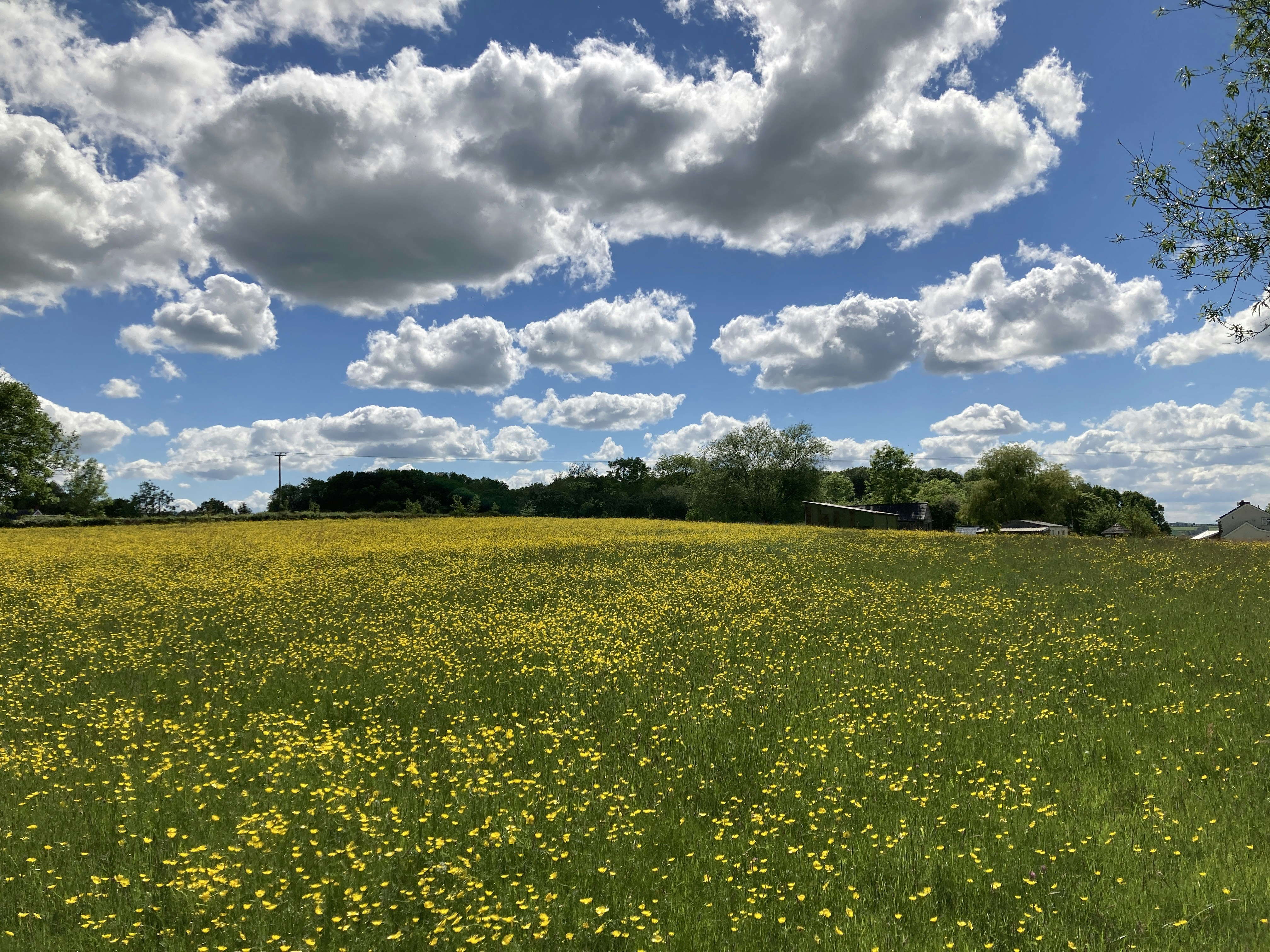 Photo by piero_vitelli