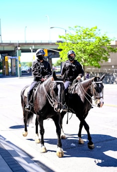 people riding horses on road during daytime