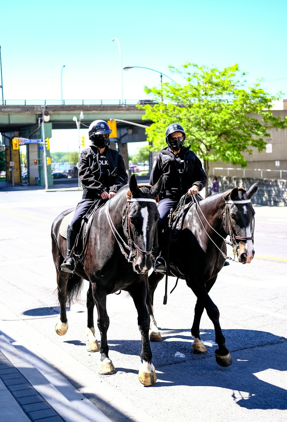 people riding horses on road during daytime