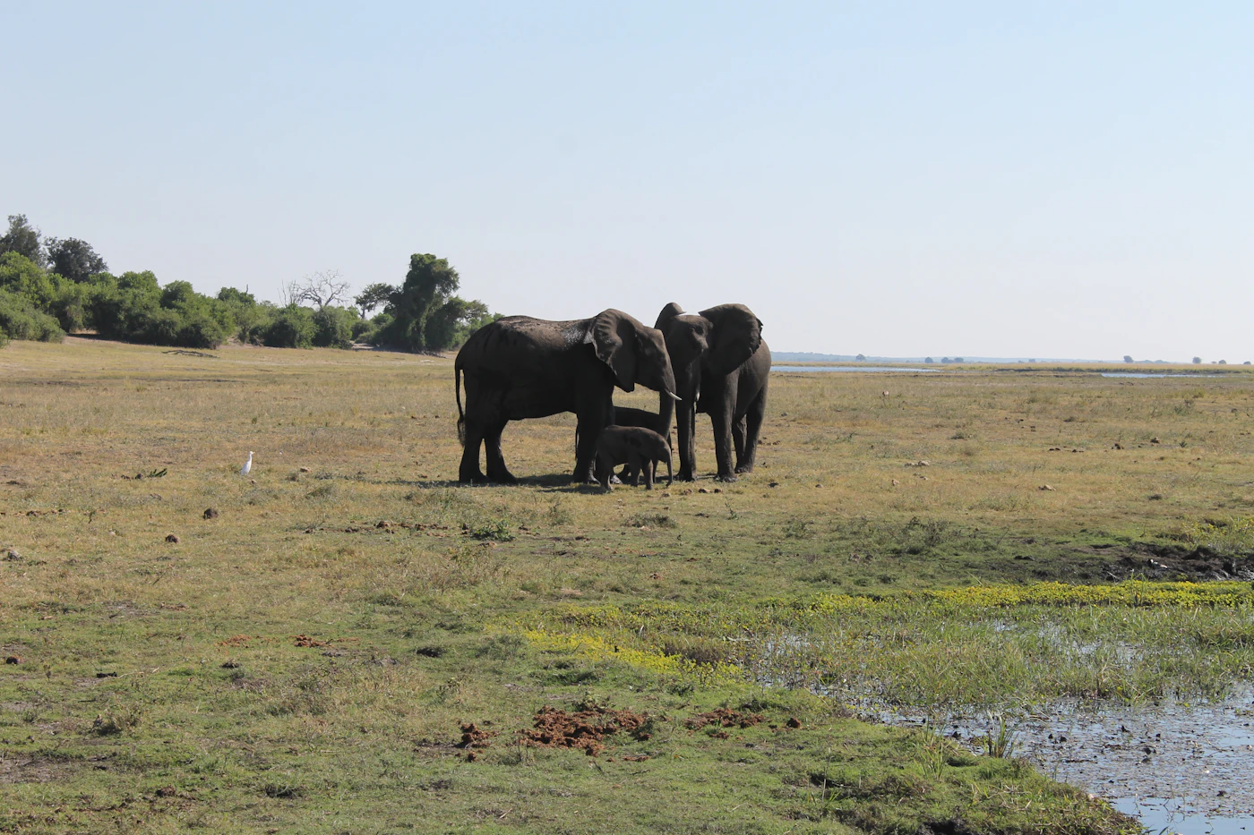North Luangwa National Park