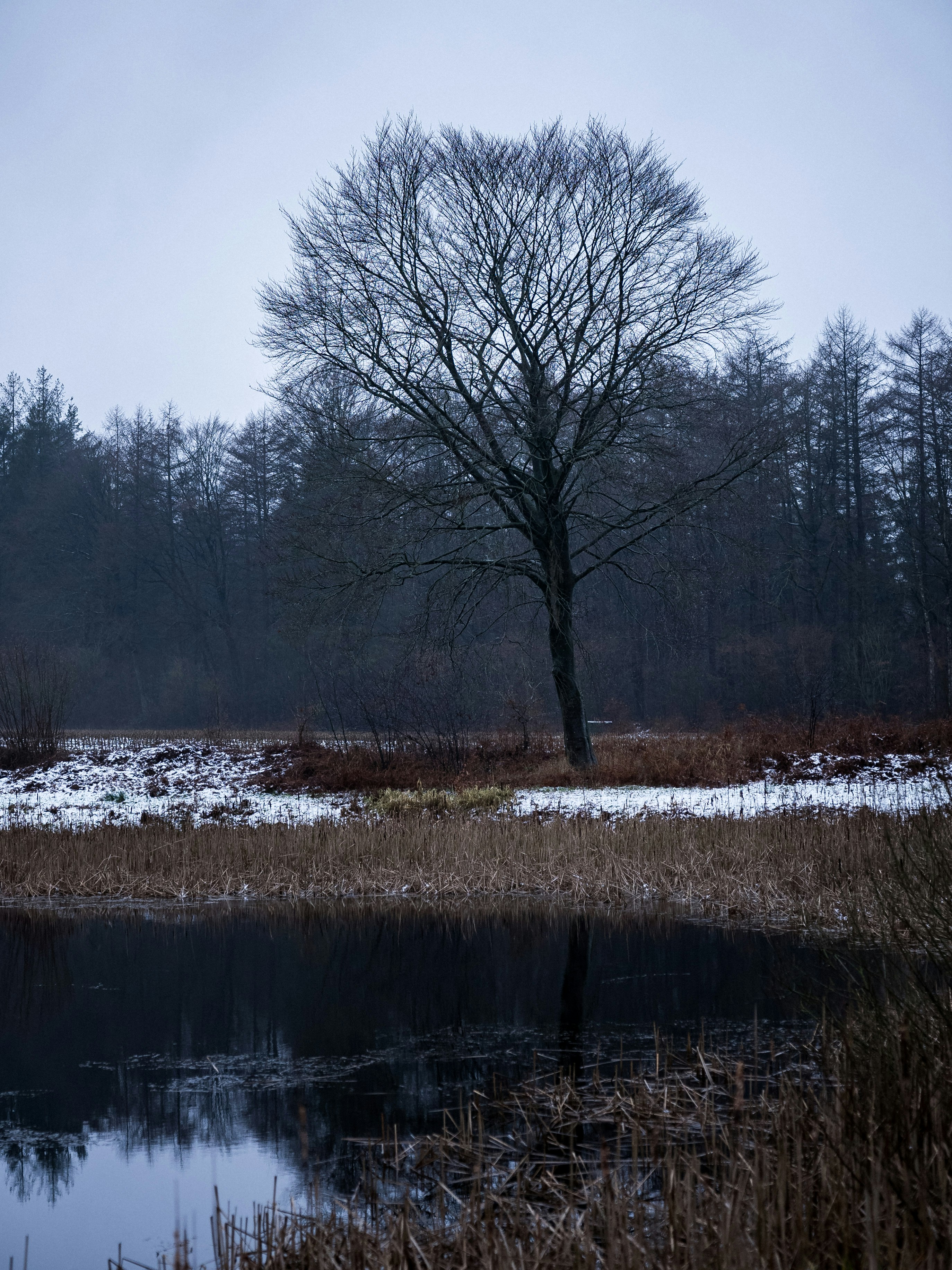 Photo by moritzluedtke