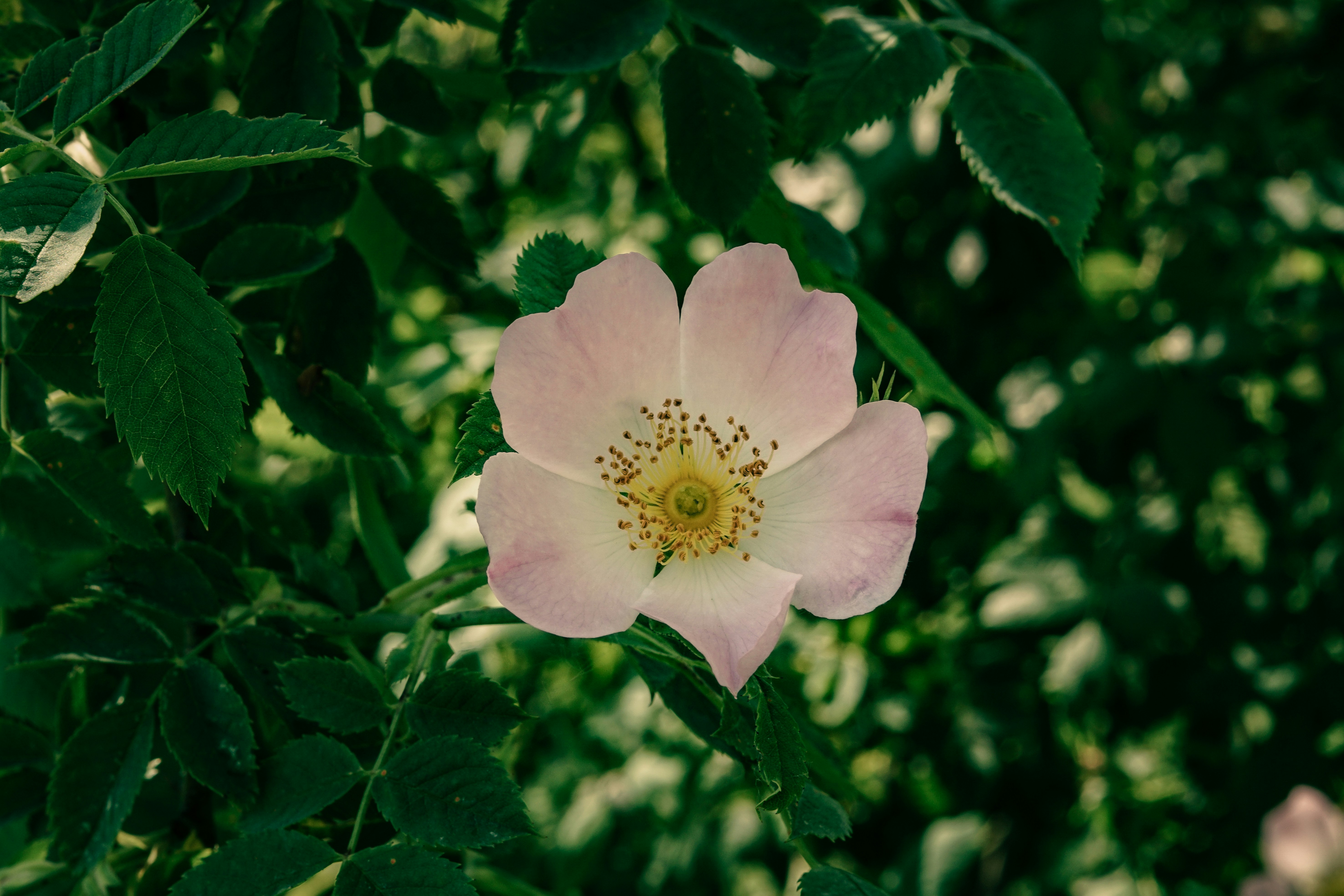 Photo by textstation