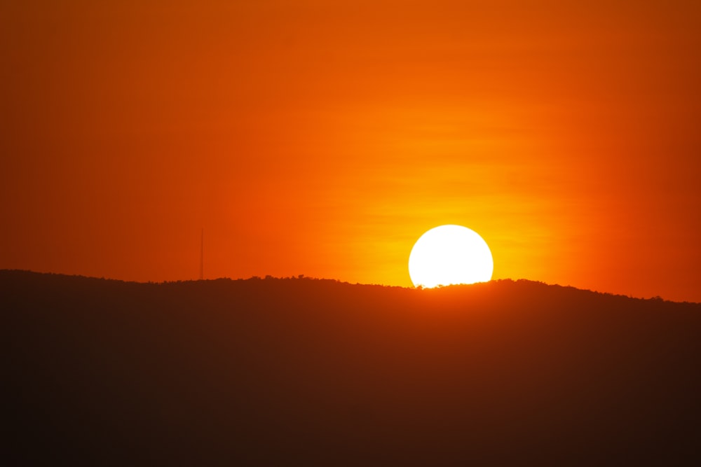 silhouette of trees during sunset