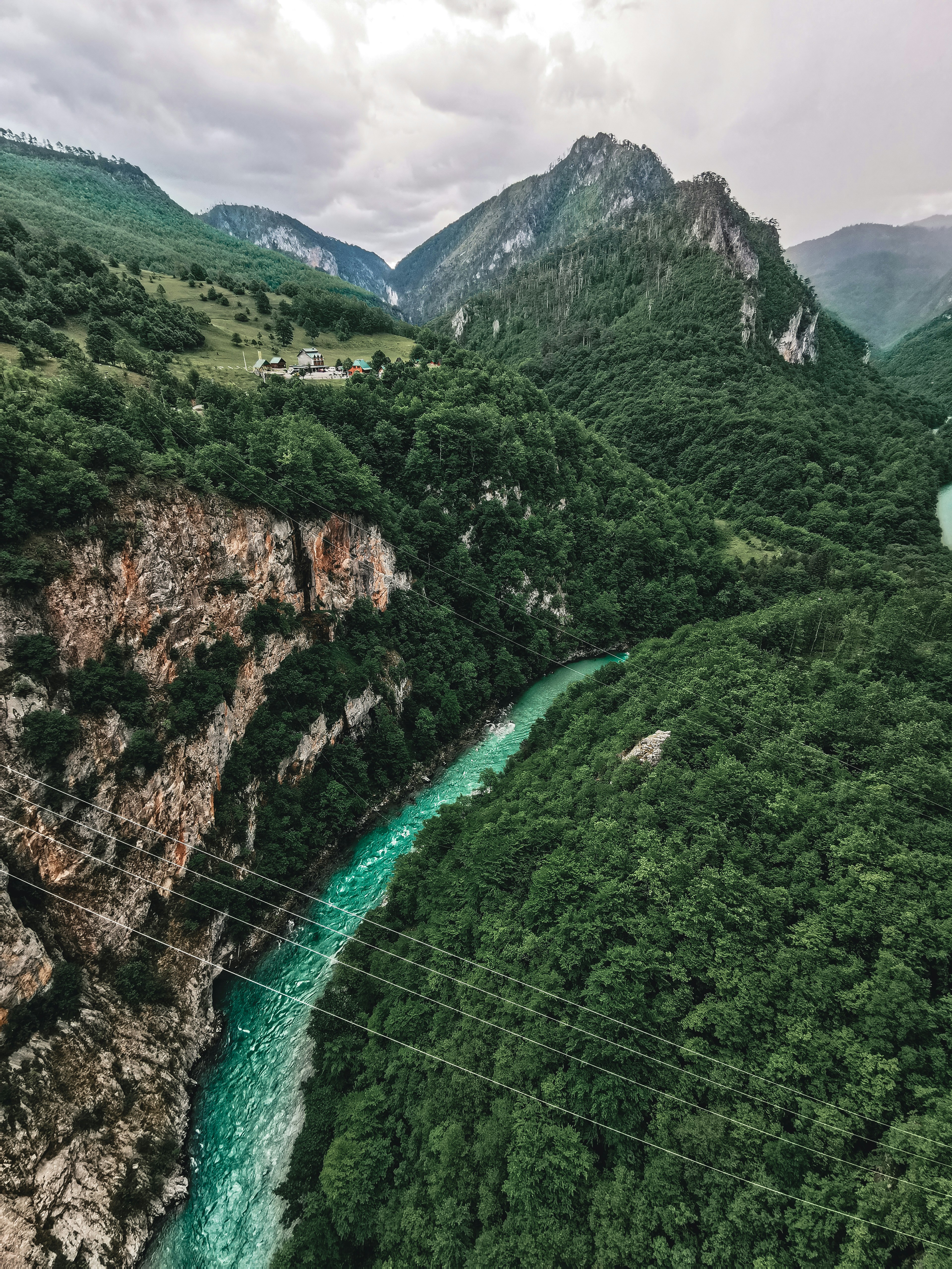 green trees on mountain during daytime