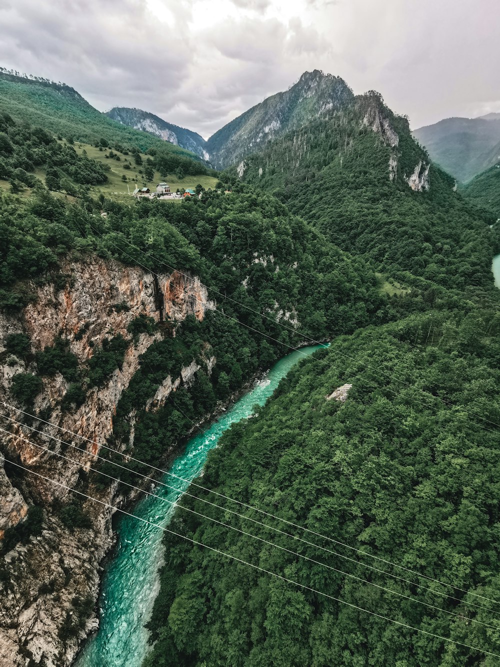 green trees on mountain during daytime