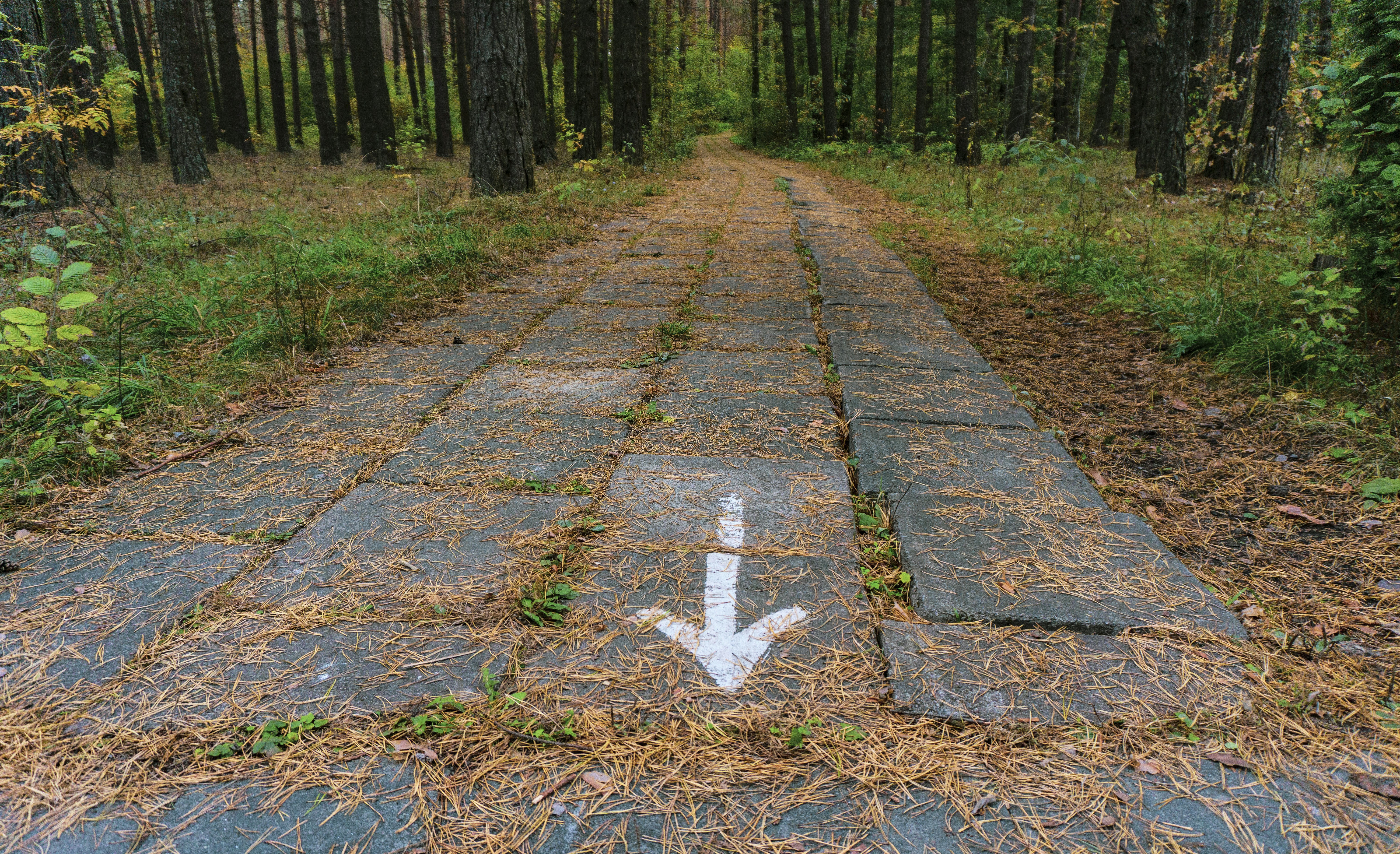 Walking Paths & Trails