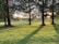 green grass field with trees during daytime