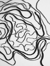 white and black abstract painting