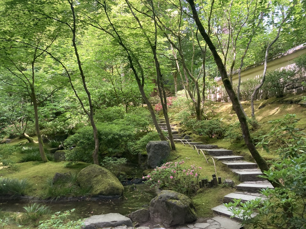 green trees beside river during daytime