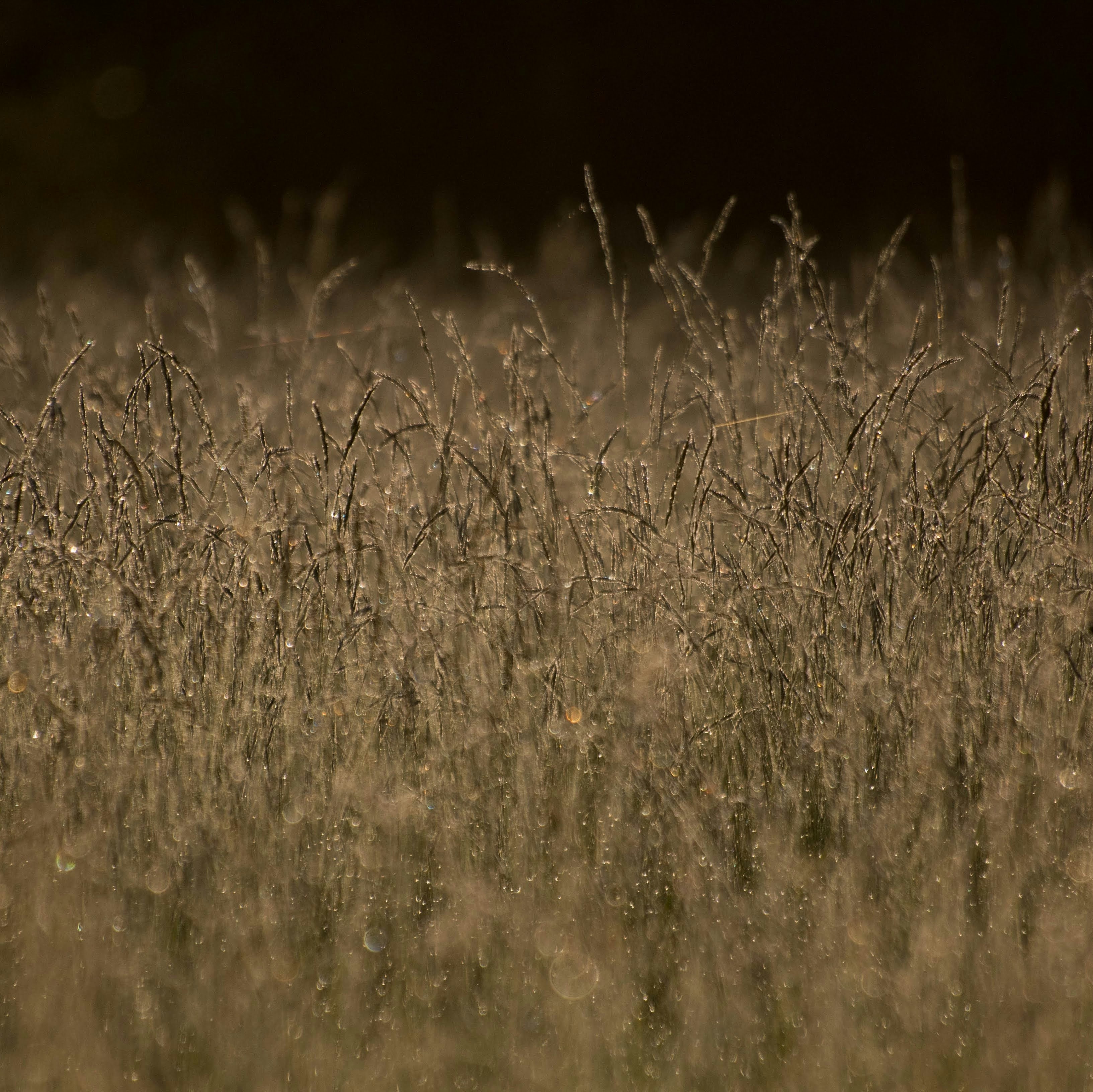 Photo by rspictorial