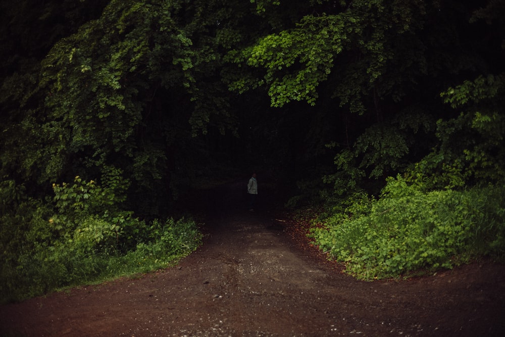 brown dirt road between green trees during daytime