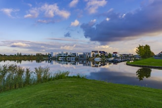 green grass field near body of water under blue sky during daytime