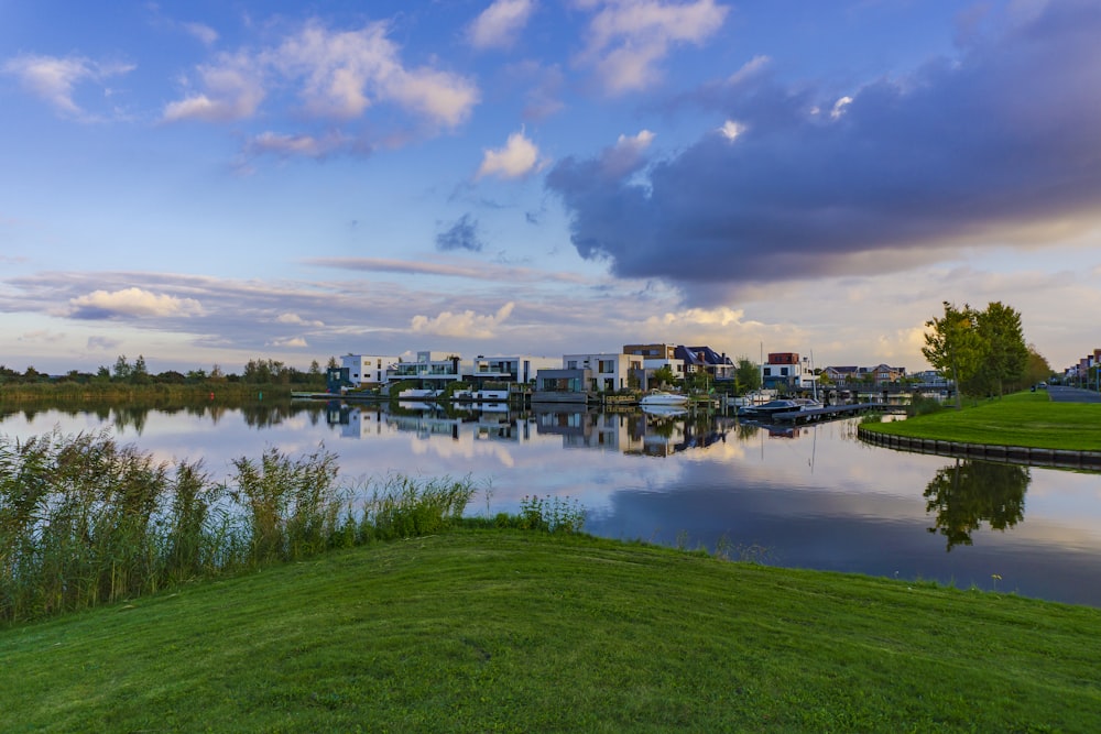 green grass field near body of water under blue sky during daytime