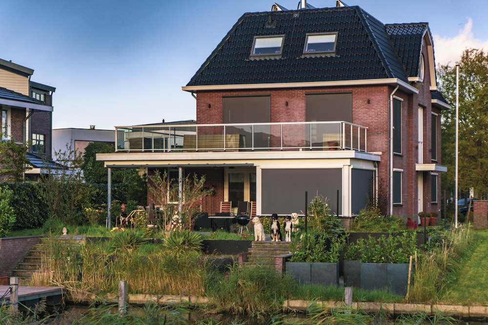 Maison en béton brun et blanc