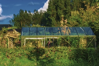 Best Greenhouses: Hoop House vs. Lean-To vs. Freestanding