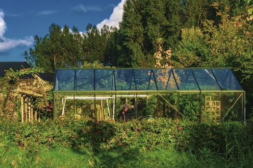 Best Greenhouses: Hoop House vs. Lean-To vs. Freestanding