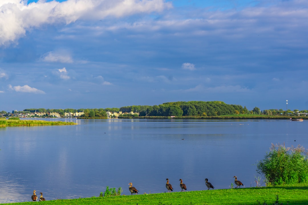 Afbeelding van Almere