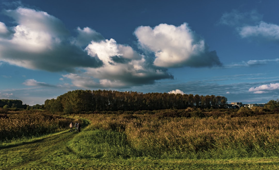 Afbeelding van Almere