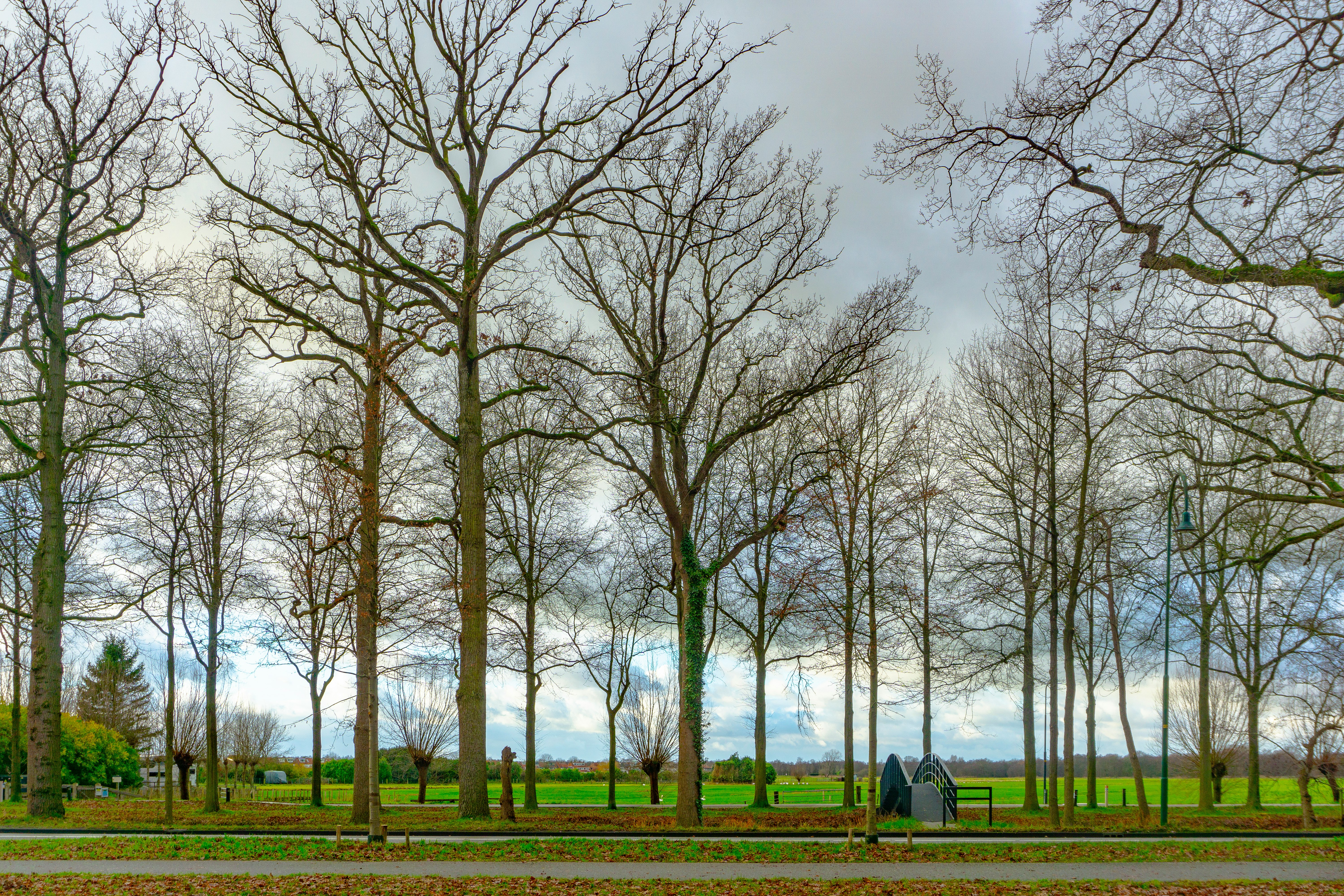 's Graveland Boekesteyn view, Noord Holland, The Netherlands