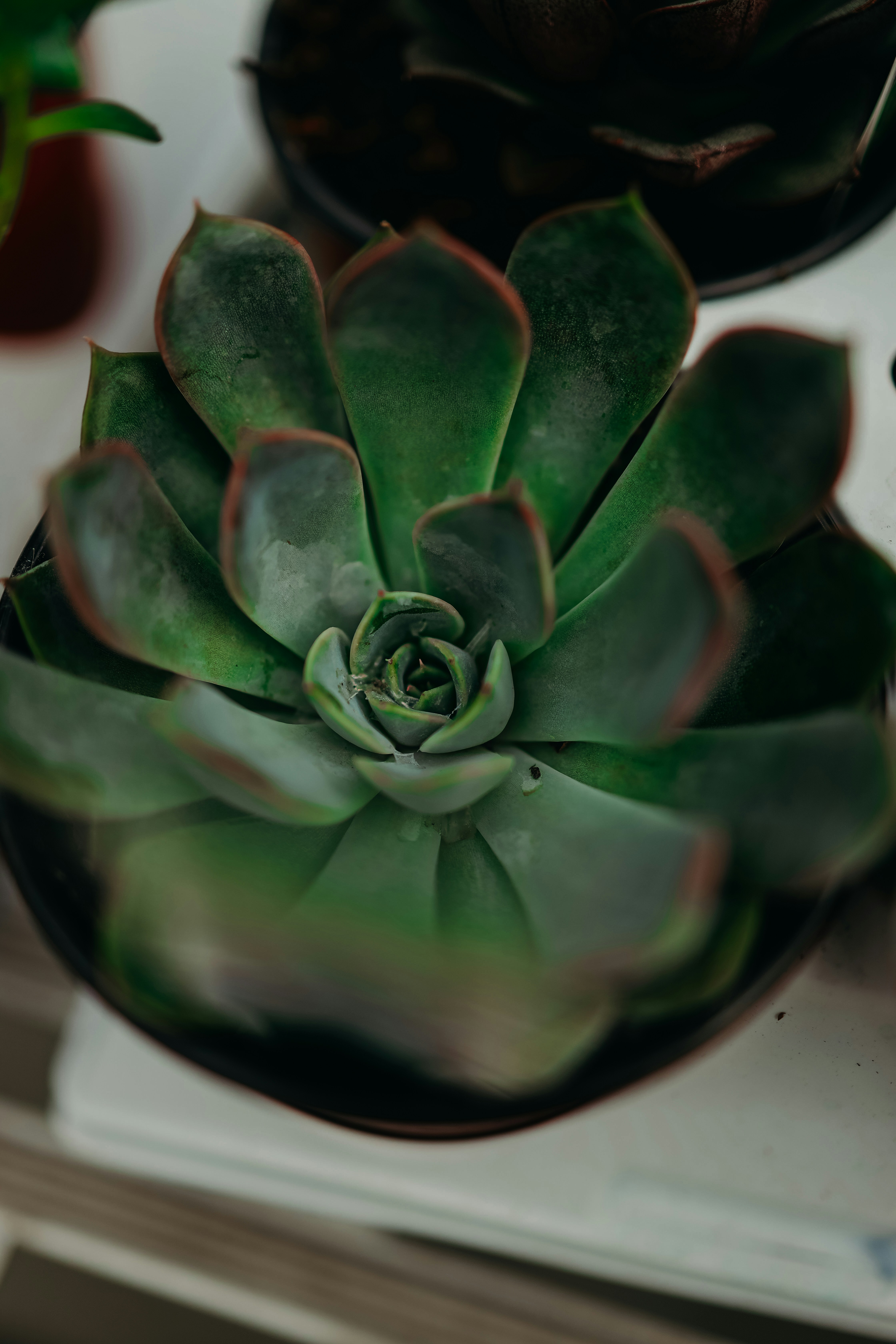 Photo by luismorerat