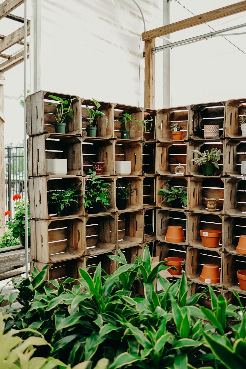 Cajas de madera marrón con plantas verdes