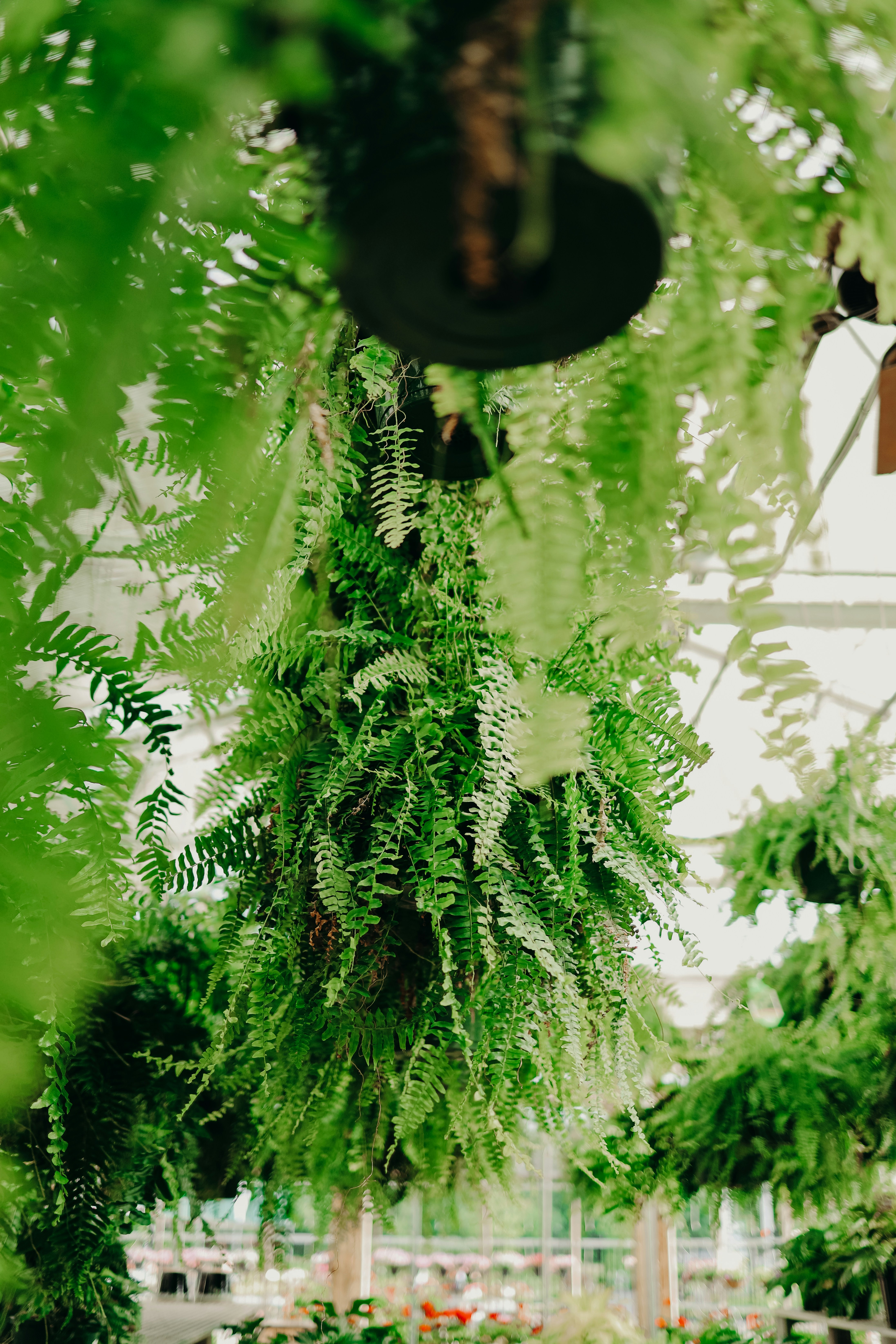 Photo by luismorerat