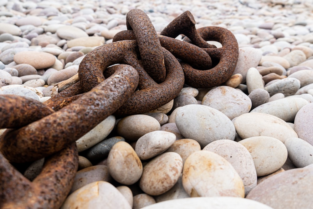 a rusty chain laying on top of a pile of rocks