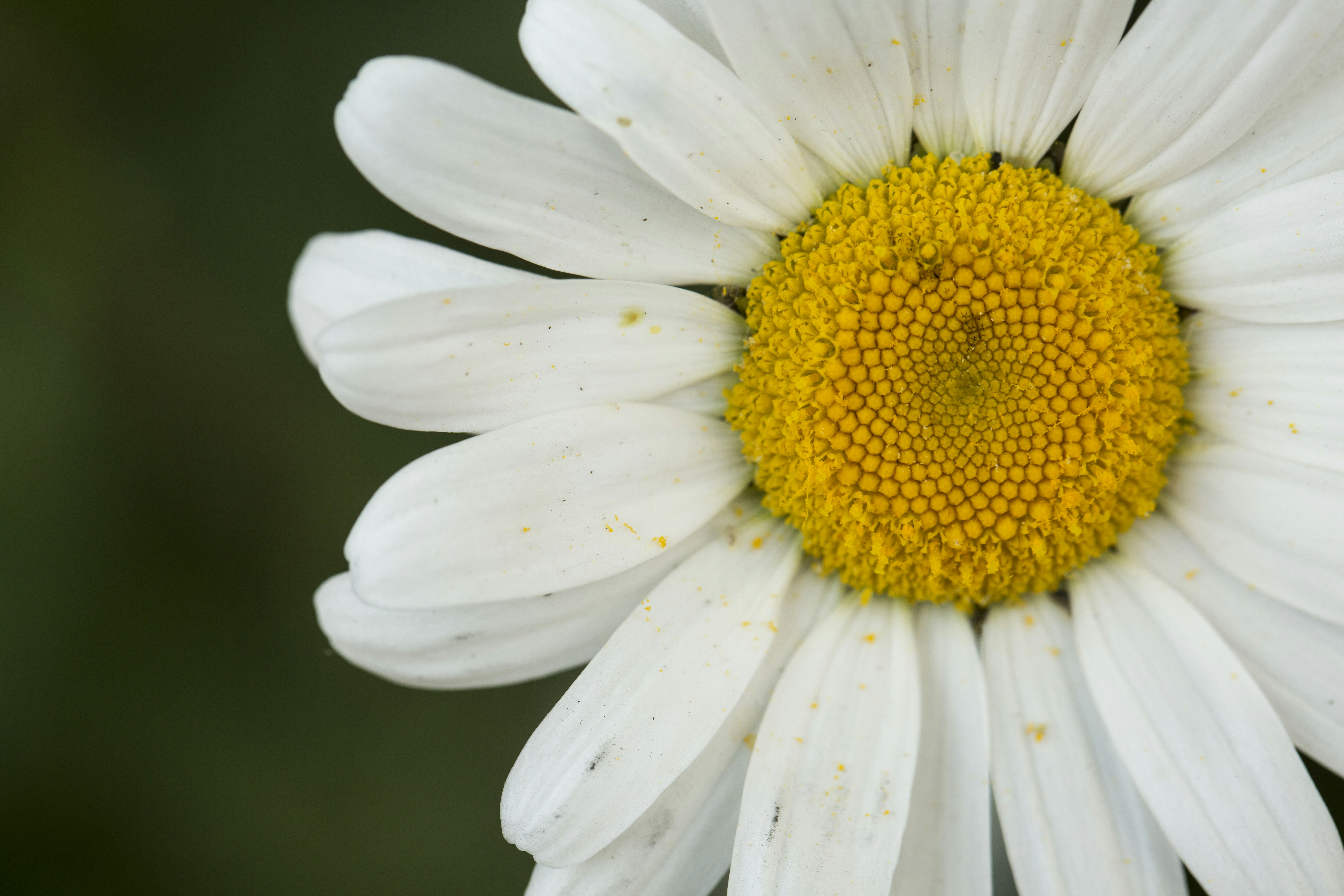 Photo by ditakesphotos