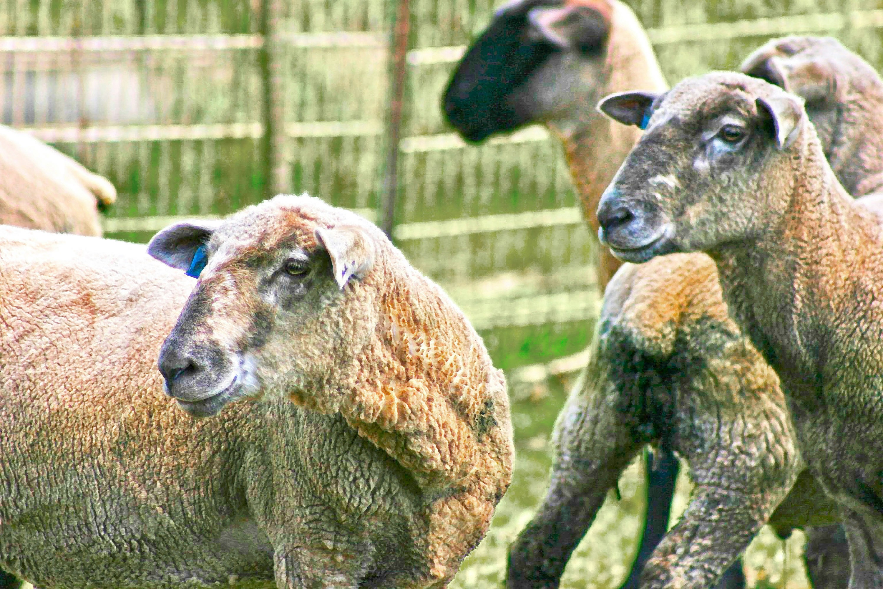 Photo by melodyayresgriffiths