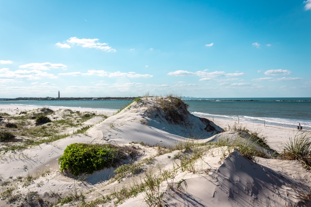 a sandy beach next to the ocean under a blue sky