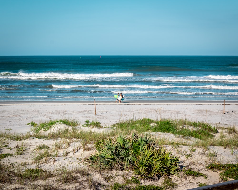 a couple of people walking along a beach next to the ocean