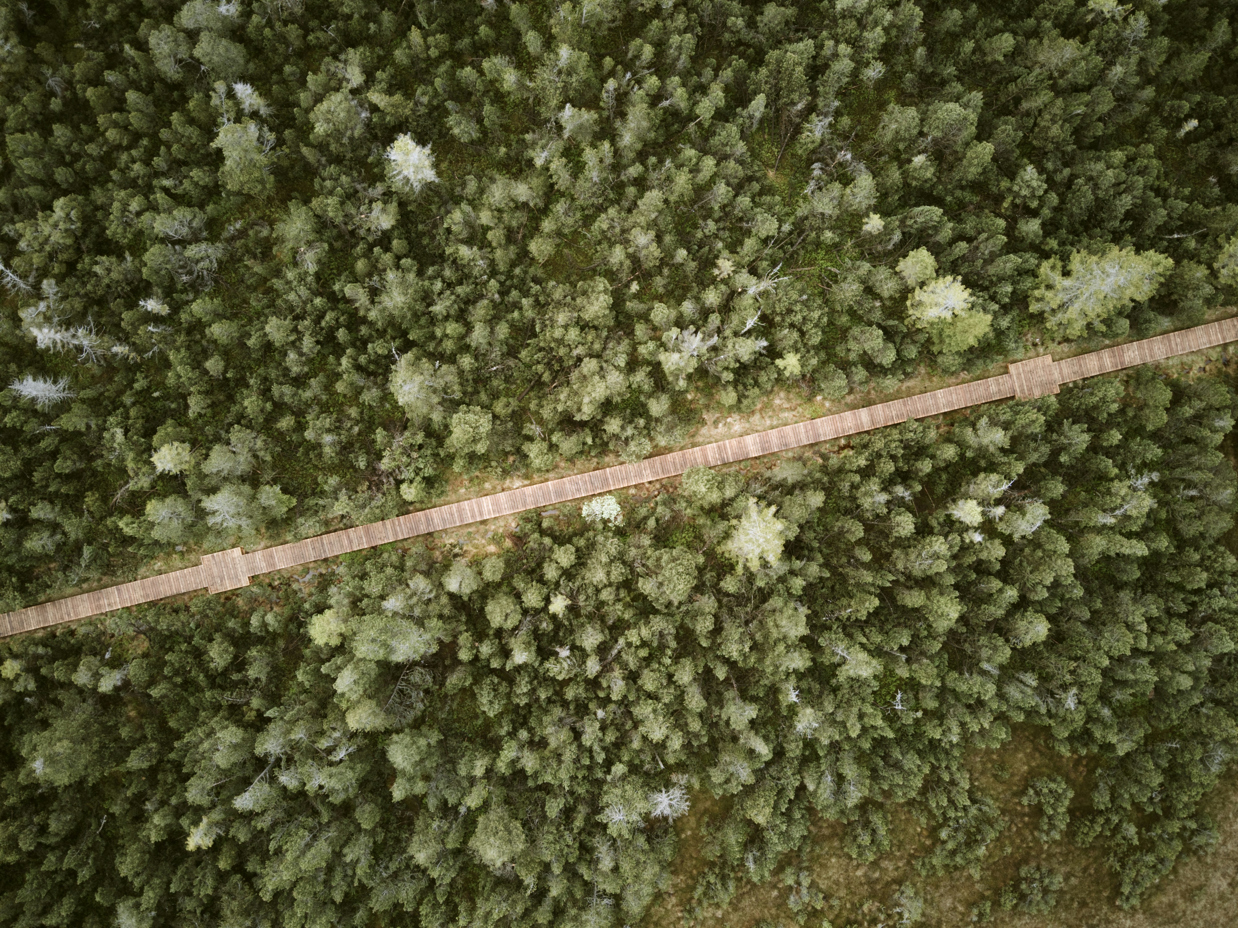 Photo by meister_stamm