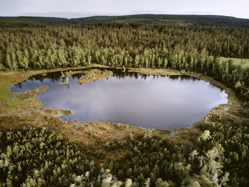 an aerial view of a lake surrounded by trees