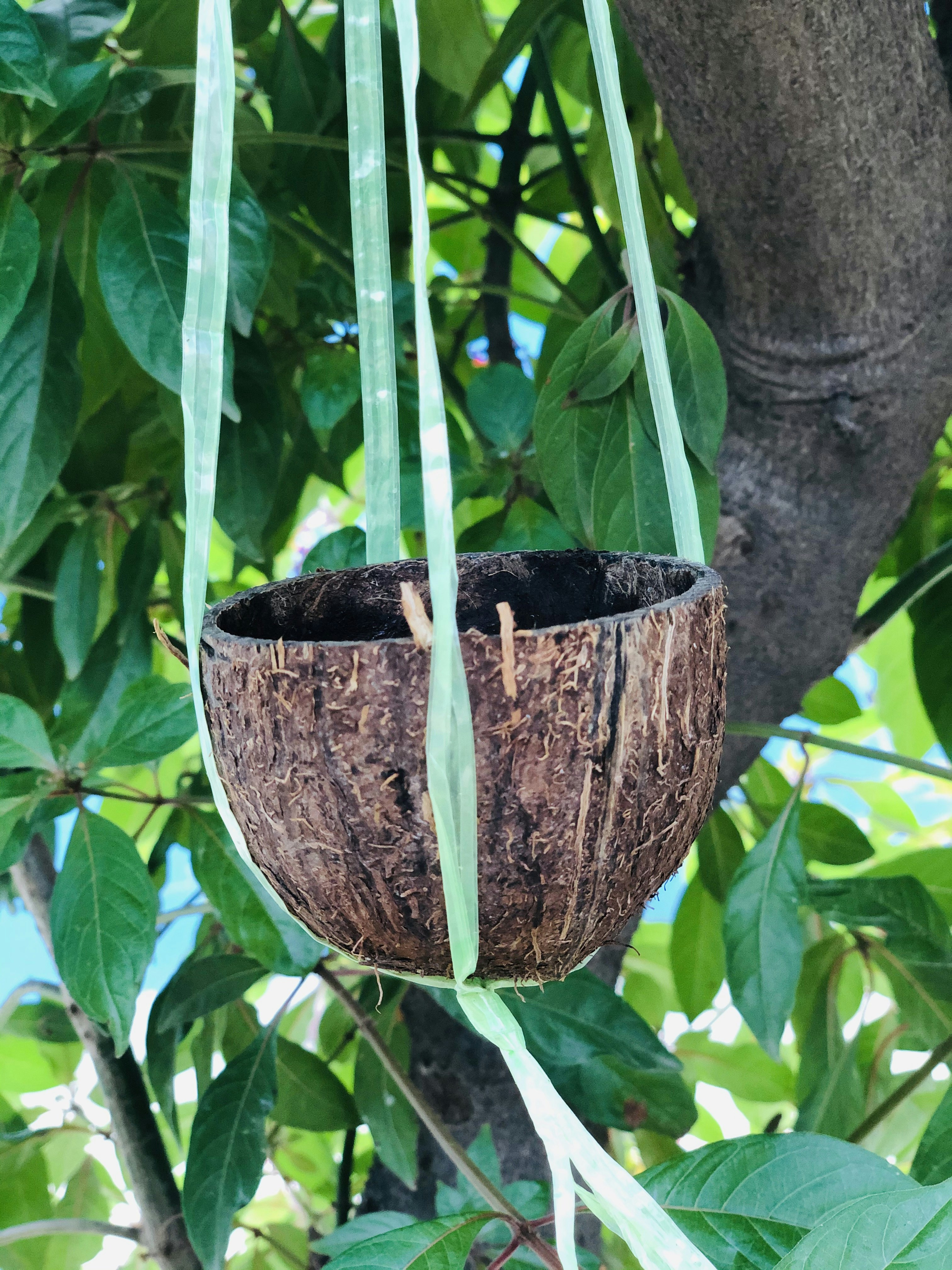 Photo by swiffy_soft